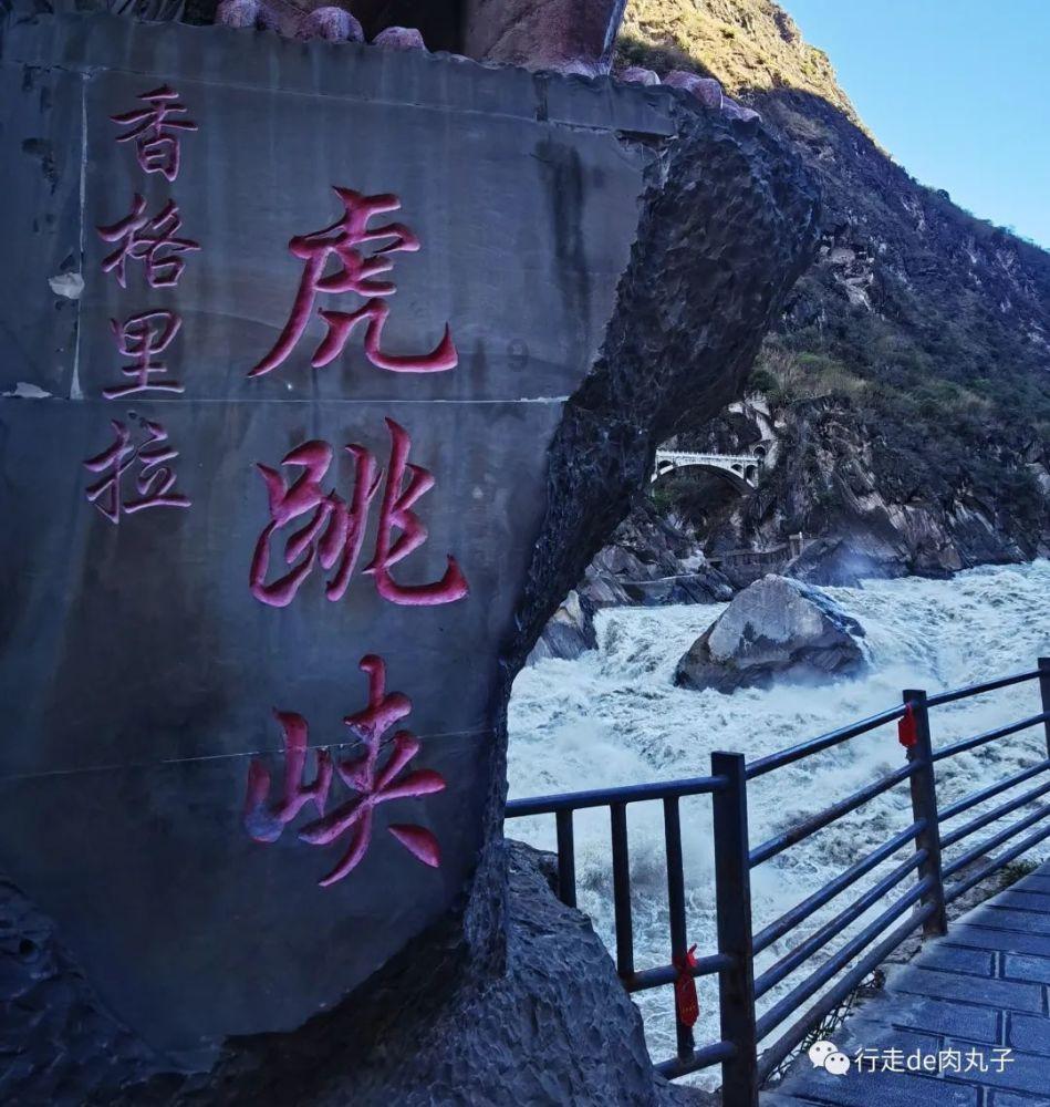 白孔雀救援